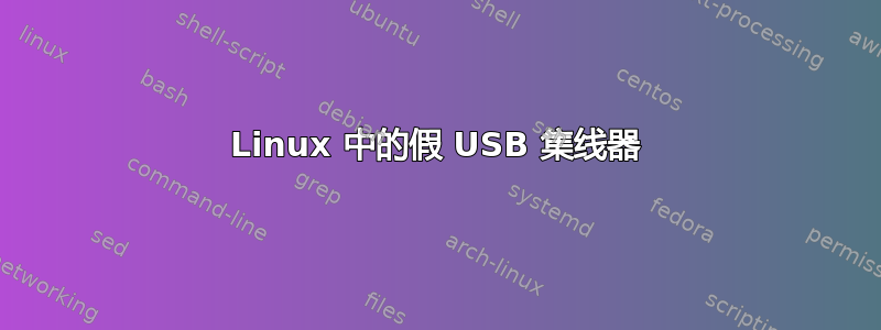 Linux 中的假 USB 集线器