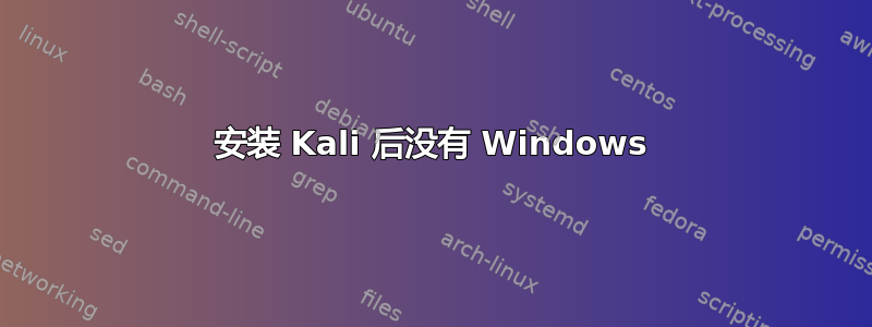 安装 Kali 后没有 Windows