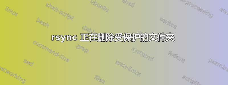 rsync 正在删除受保护的文件夹