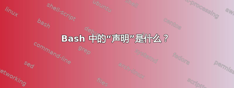 Bash 中的“声明”是什么？