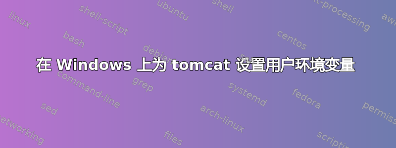 在 Windows 上为 tomcat 设置用户环境变量