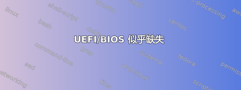 UEFI/BIOS 似乎缺失