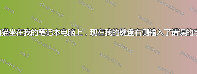 我的猫坐在我的笔记本电脑上，现在我的键盘右侧输入了错误的字符