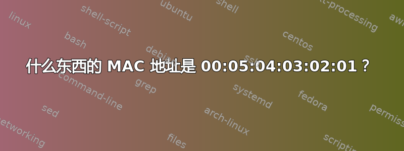 什么东西的 MAC 地址是 00:05:04:03:02:01？