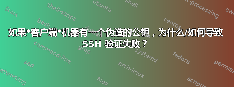 如果*客户端*机器有一个伪造的公钥，为什么/如何导致 SSH 验证失败？