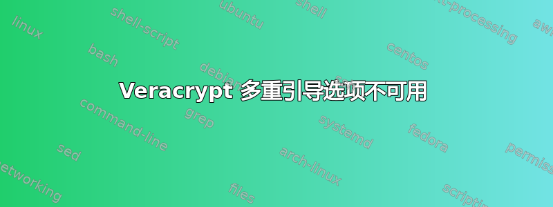 Veracrypt 多重引导选项不可用