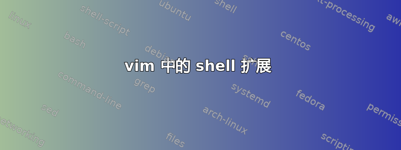 vim 中的 shell 扩展