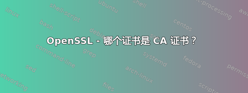 OpenSSL - 哪个证书是 CA 证书？