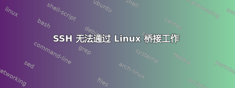 SSH 无法通过 Linux 桥接工作