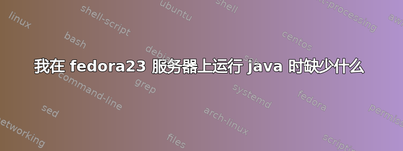 我在 fedora23 服务器上运行 java 时缺少什么