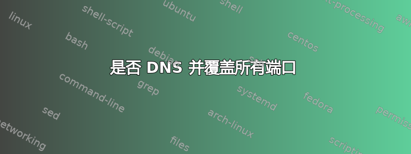 是否 DNS 并覆盖所有端口