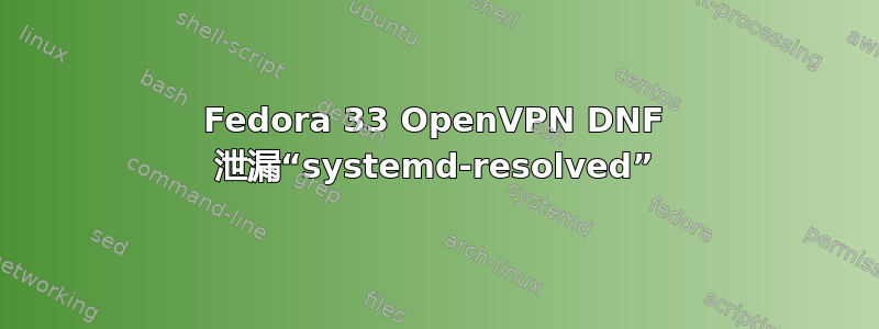 Fedora 33 OpenVPN DNF 泄漏“systemd-resolved”