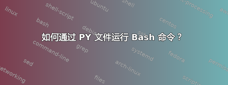 如何通过 PY 文件运行 Bash 命令？