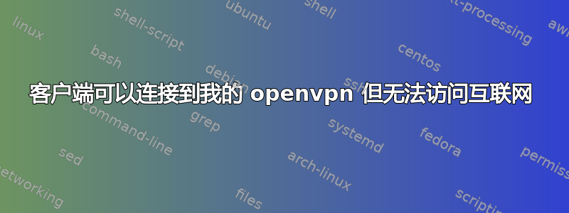 客户端可以连接到我的 openvpn 但无法访问互联网