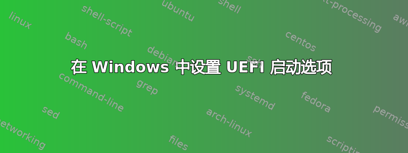 在 Windows 中设置 UEFI 启动选项