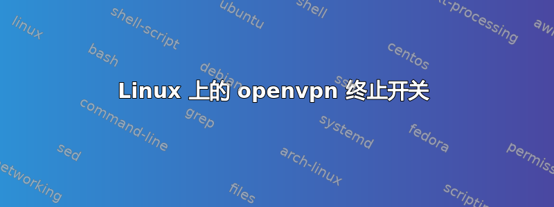 Linux 上的 openvpn 终止开关