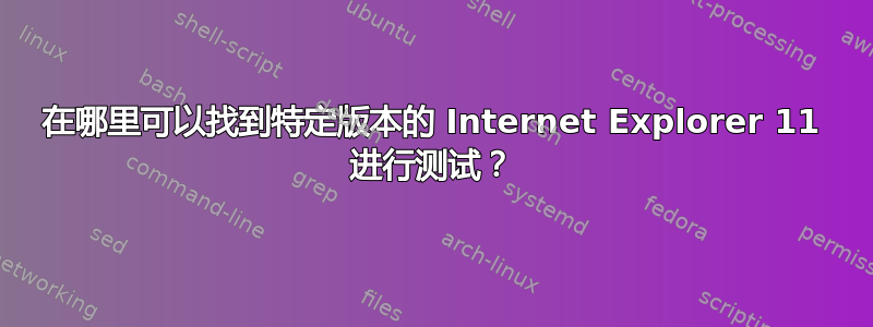 在哪里可以找到特定版本的 Internet Explorer 11 进行测试？