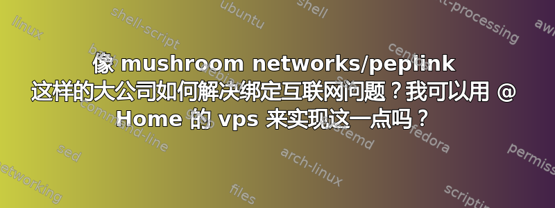 像 mushroom networks/peplink 这样的大公司如何解决绑定互联网问题？我可以用 @ Home 的 vps 来实现这一点吗？