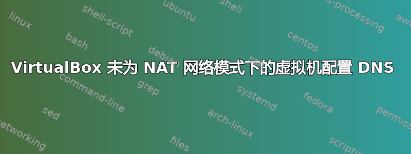 VirtualBox 未为 NAT 网络模式下的虚拟机配置 DNS