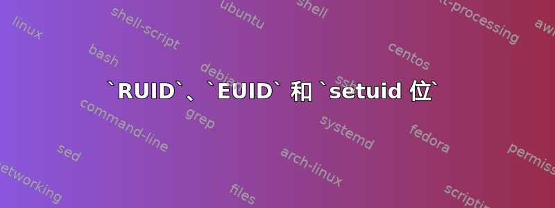 `RUID`、`EUID` 和 `setuid 位`