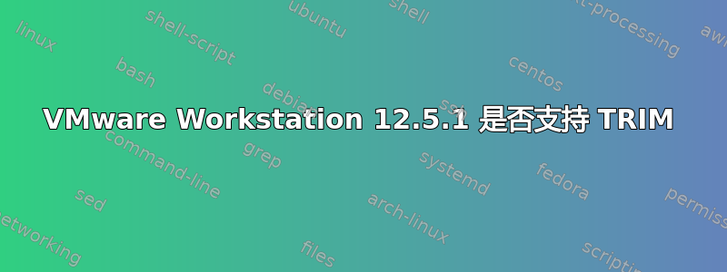 VMware Workstation 12.5.1 是否支持 TRIM