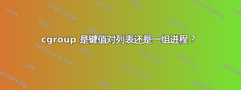 cgroup 是键值对列表还是一组进程？