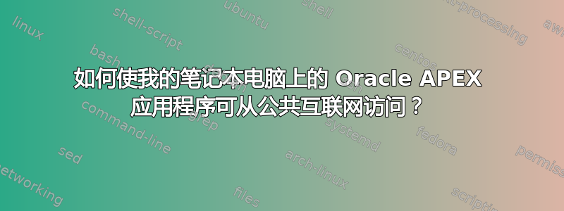 如何使我的笔记本电脑上的 Oracle APEX 应用程序可从公共互联网访问？