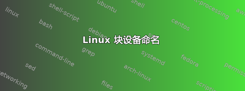 Linux 块设备命名