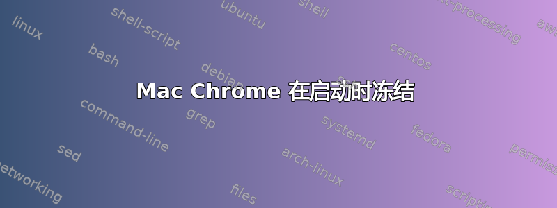 Mac Chrome 在启动时冻结