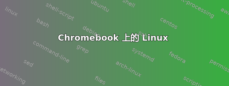 Chromebook 上的 Linux