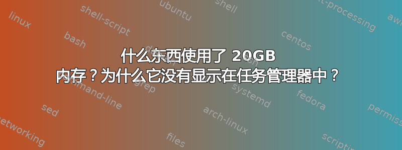 什么东西使用了 20GB 内存？为什么它没有显示在任务管理器中？