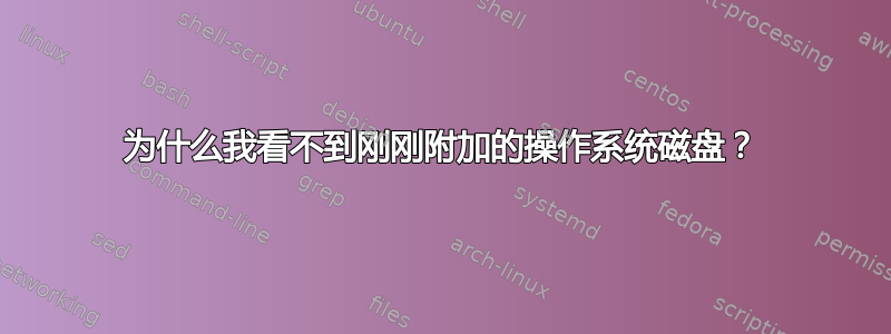 为什么我看不到刚刚附加的操作系统磁盘？