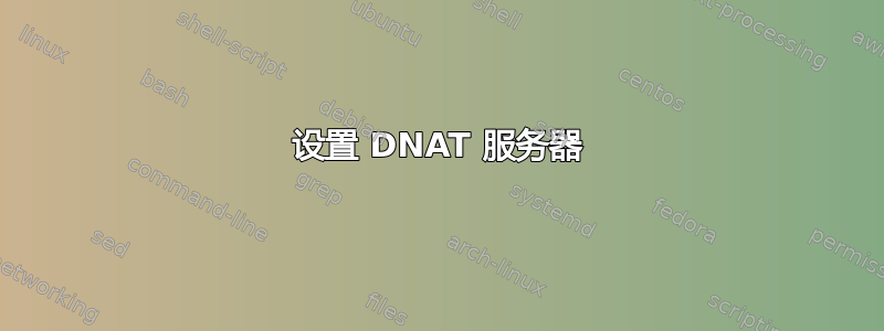 设置 DNAT 服务器