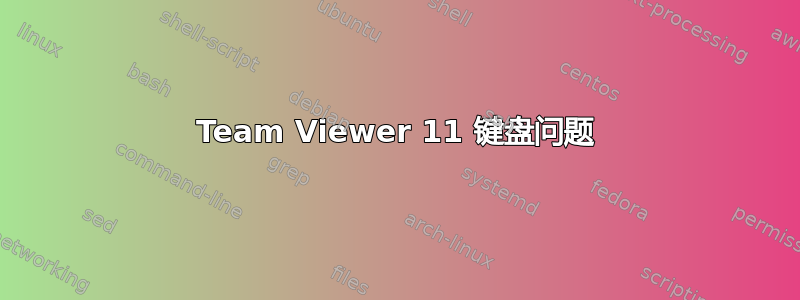 Team Viewer 11 键盘问题