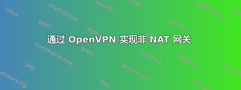 通过 OpenVPN 实现非 NAT 网关