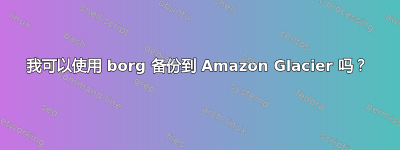 我可以使用 borg 备份到 Amazon Glacier 吗？