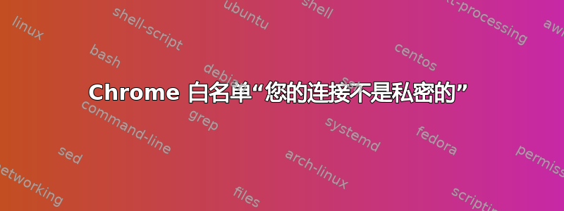 Chrome 白名单“您的连接不是私密的”