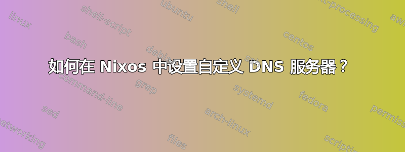 如何在 Nixos 中设置自定义 DNS 服务器？