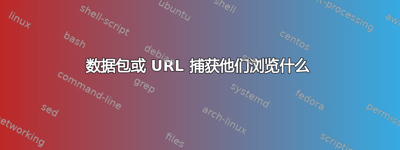 数据包或 URL 捕获他们浏览什么