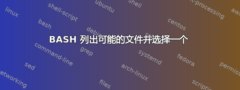 BASH 列出可能的文件并选择一个