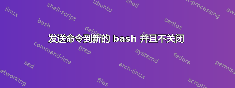 发送命令到新的 bash 并且不关闭