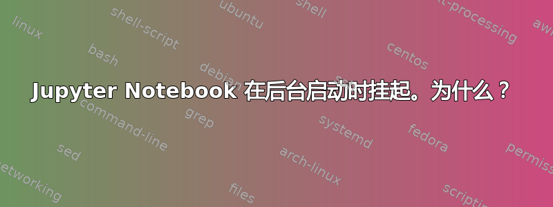 Jupyter Notebook 在后台启动时挂起。为什么？