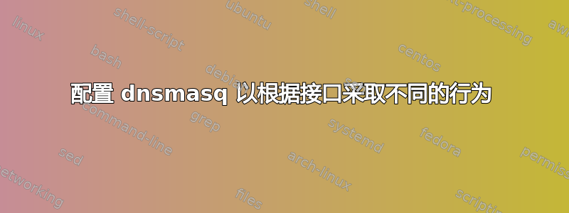 配置 dnsmasq 以根据接口采取不同的行为