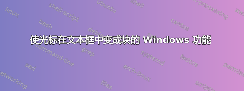 使光标在文本框中变成块的 Windows 功能