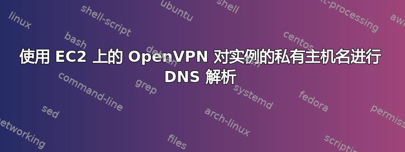 使用 EC2 上的 OpenVPN 对实例的私有主机名进行 DNS 解析