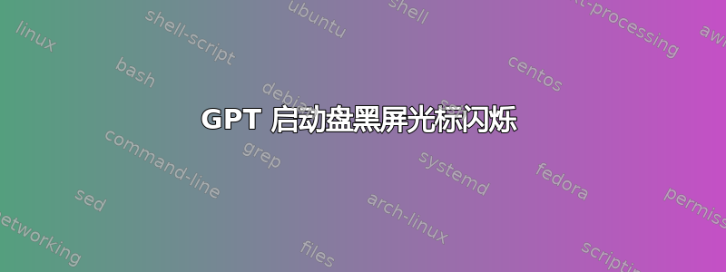 GPT 启动盘黑屏光标闪烁