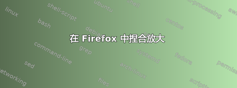 在 Firefox 中捏合放大