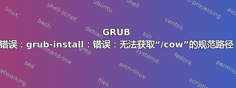 GRUB 错误：grub-install：错误：无法获取“/cow”的规范路径