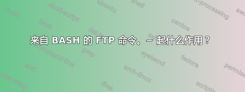 来自 BASH 的 FTP 命令。~ 起什么作用？