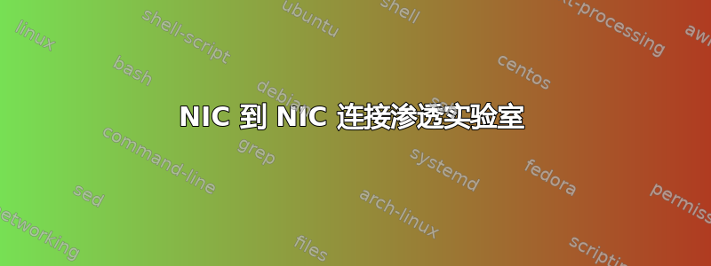 NIC 到 NIC 连接渗透实验室